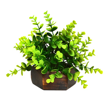Artificial Leaves Plant with Wood Hexagon Pot ( Height 16.5 cm)