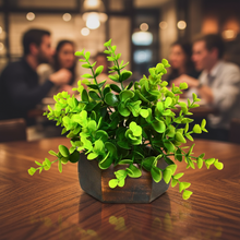 Artificial Leaves Plant with Wood Hexagon Pot ( Height 16.5 cm)