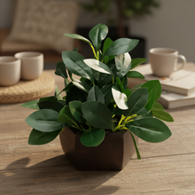 Artificial Leaves Plant with Wood Hexagon Pot ( Height 16.5 cm)