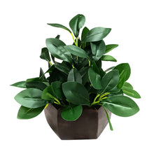 Artificial Leaves Plant with Wood Hexagon Pot ( Height 16.5 cm)