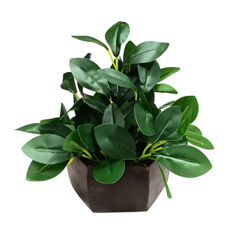 Artificial Leaves Plant with Wood Hexagon Pot ( Height 16.5 cm)