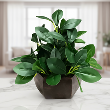 Artificial Leaves Plant with Wood Hexagon Pot ( Height 16.5 cm)