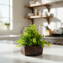 Artificial Leaves Plant with Wood Hexagon Pot ( Height 16.5 cm)