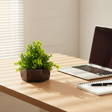 Artificial Leaves Plant with Wood Hexagon Pot ( Height 16.5 cm)