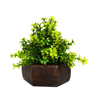 Artificial Leaves Plant with Wood Hexagon Pot ( Height 16.5 cm)