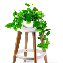 Elegant Artificial Plant Falling Leaves with Pot for Home & Office Decor ? Versatile Potted Plant for Tabletop, Shelves, or Hanging Display