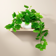 Elegant Artificial Plant Falling Leaves with Pot for Home & Office Decor ? Versatile Potted Plant for Tabletop, Shelves, or Hanging Display