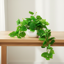 Elegant Artificial Plant Falling Leaves with Pot for Home & Office Decor ? Versatile Potted Plant for Tabletop, Shelves, or Hanging Display