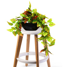 Elegant Artificial Plant Falling Leaves with Pot for Home & Office Decor ? Versatile Potted Plant for Tabletop, Shelves, or Hanging Display