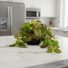 Elegant Artificial Plant Falling Leaves with Pot for Home & Office Decor ? Versatile Potted Plant for Tabletop, Shelves, or Hanging Display