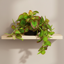 Elegant Artificial Plant Falling Leaves with Pot for Home & Office Decor ? Versatile Potted Plant for Tabletop, Shelves, or Hanging Display