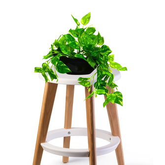 Elegant Artificial Plant Falling Leaves with Pot for Home & Office Decor ? Versatile Potted Plant for Tabletop, Shelves, or Hanging Display