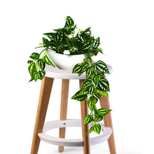 Elegant Artificial Plant Falling Leaves with Pot for Home & Office Decor ? Versatile Potted Plant for Tabletop, Shelves, or Hanging Display