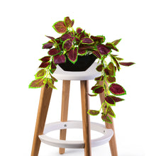 Elegant Artificial Plant Falling Leaves with Pot for Home & Office Decor ? Versatile Potted Plant for Tabletop, Shelves, or Hanging Display