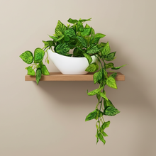 Elegant Artificial Plant Falling Leaves with Pot for Home & Office Decor ? Versatile Potted Plant for Tabletop, Shelves, or Hanging Display