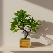 Elegant Artificial Bonsai Tree in Wood Pot ? Perfect Mini Tree for Home & Office D‚cor, Ideal for Tabletops, Shelves, and Study Desks