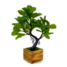 Elegant Artificial Bonsai Tree in Wood Pot ? Perfect Mini Tree for Home & Office D‚cor, Ideal for Tabletops, Shelves, and Study Desks