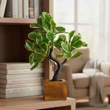 Elegant Artificial Bonsai Tree in Wood Pot ? Perfect Mini Tree for Home & Office D‚cor, Ideal for Tabletops, Shelves, and Study Desks