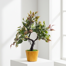 Elegant Artificial Bonsai Tree in Wood Pot ? Perfect Mini Tree for Home & Office D‚cor, Ideal for Tabletops, Shelves, and Study Desks