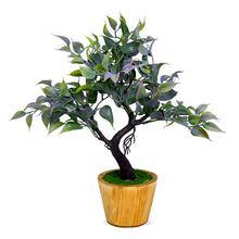 Elegant Artificial Bonsai Tree in Wood Pot ? Perfect Mini Tree for Home & Office D‚cor, Ideal for Tabletops, Shelves, and Study Desks