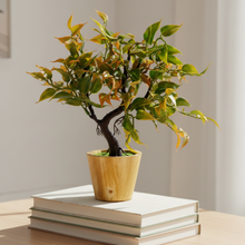 Elegant Artificial Bonsai Tree in Wood Pot ? Perfect Mini Tree for Home & Office D‚cor, Ideal for Tabletops, Shelves, and Study Desks