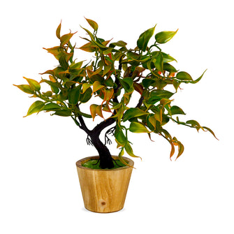 Elegant Artificial Bonsai Tree in Wood Pot ? Perfect Mini Tree for Home & Office D‚cor, Ideal for Tabletops, Shelves, and Study Desks