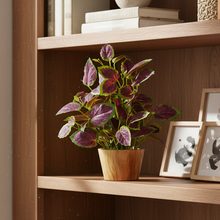 Artificial Plant Leaves in Wooden Pot Perfect Potted Decoration for Home Living Room & Office Spaces D‚cor