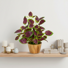 Artificial Plant Leaves in Wooden Pot Perfect Potted Decoration for Home Living Room & Office Spaces D‚cor