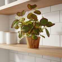 Artificial Plant Leaves in Wooden Pot Perfect Potted Decoration for Home Living Room & Office Spaces D‚cor