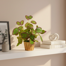 Artificial Plant Leaves in Wooden Pot Perfect Potted Decoration for Home Living Room & Office Spaces D‚cor