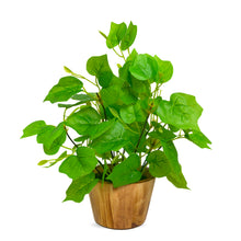 Artificial Plant Leaves in Wooden Pot Perfect Potted Decoration for Home Living Room & Office Spaces D‚cor