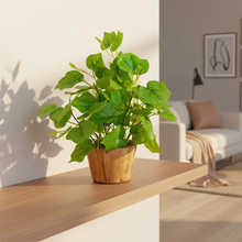 Artificial Plant Leaves in Wooden Pot Perfect Potted Decoration for Home Living Room & Office Spaces D‚cor