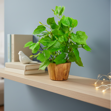Artificial Plant Leaves in Wooden Pot Perfect Potted Decoration for Home Living Room & Office Spaces D‚cor