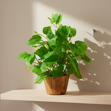 Artificial Plant Leaves in Wooden Pot Perfect Potted Decoration for Home Living Room & Office Spaces D‚cor