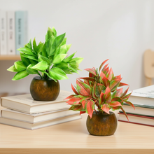 Artificial Latex Plants with Wooden Pot (Pack of 2) – Height 12.5 cm
