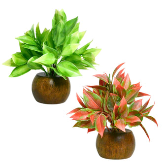 Artificial Latex Plants with Wooden Pot (Pack of 2) – Height 12.5 cm