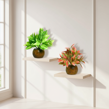 Artificial Latex Plants with Wooden Pot (Pack of 2) – Height 12.5 cm