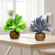 Artificial Latex Plants with Wooden Pot (Pack of 2) – Height 12.5 cm