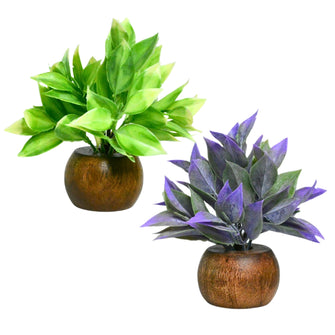 Artificial Latex Plants with Wooden Pot (Pack of 2) – Height 12.5 cm