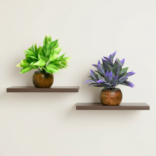 Artificial Latex Plants with Wooden Pot (Pack of 2) – Height 12.5 cm