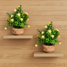 Artificial Flower Gardenia Leaves with Wooden Pot (Pack of 2) – Height 14 cm