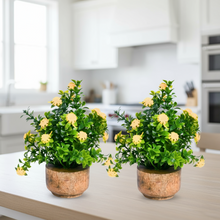 Artificial Flower Gardenia Leaves with Wooden Pot (Pack of 2) – Height 14 cm