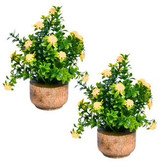 Artificial Flower Gardenia Leaves with Wooden Pot (Pack of 2) – Height 14 cm