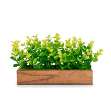 Artificial Leaves in Wooden Rectangular Tray - Width 20 cm