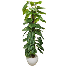 Artificial Plant without Pot - 25 - Height (5 Feet)