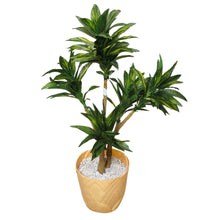 Artificial Plant without Pot - 38- Height (2.5 Feet)