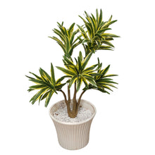 Artificial Plant without Pot - 39- Height (2.5 Feet)