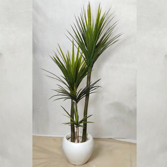 Artificial Plant without Pot - 43- Height (5 Feet)