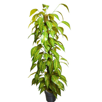 Artificial Plant without Pot - 59- Height (6 Feet)