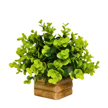 Artificial Plant Eucalyptus Green Bunch in Wooden Pot - 17 cm Height